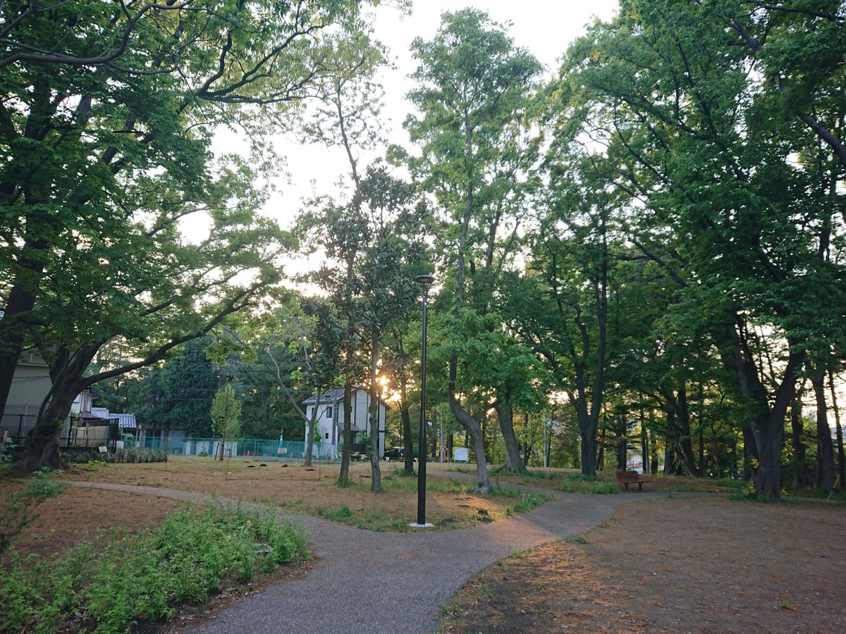 mysterysnack1's tweet photo. 4th week of April #ShakujiiPark
山桜園
新しく拡張したエリア。
ここは公園地として確保された閉鎖区画の他に数軒の民家と駐車場などがあった。フレンドリーな飼い猫もここに暮らしていた。
#LateSpring https://t.co/WI5mPXUUui