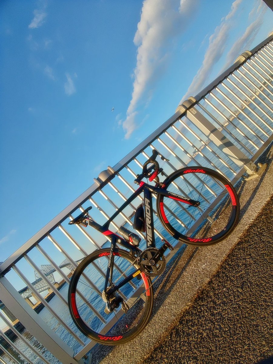Yuji tweet media