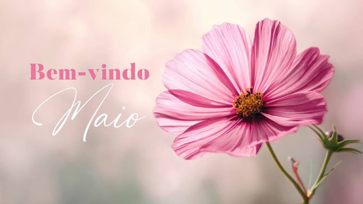 Olá, maio! 🦋

Página 121 de 365 👣