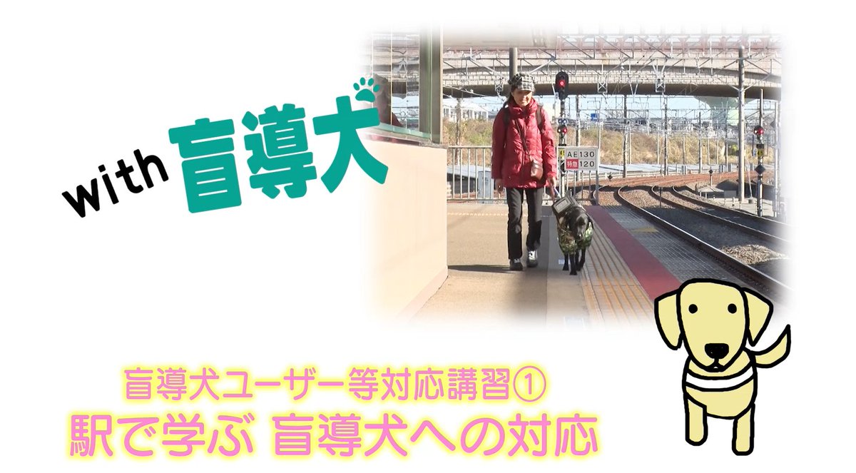 【公式】with盲導犬 tweet media