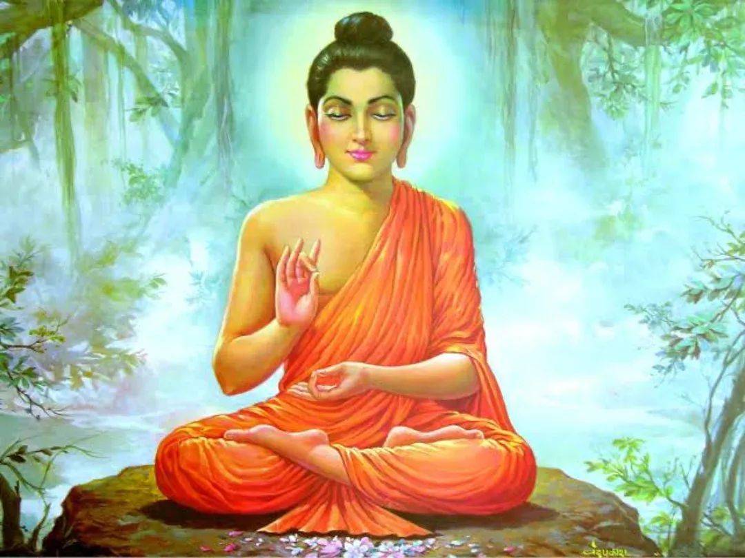 Bhanu nehra tweet media