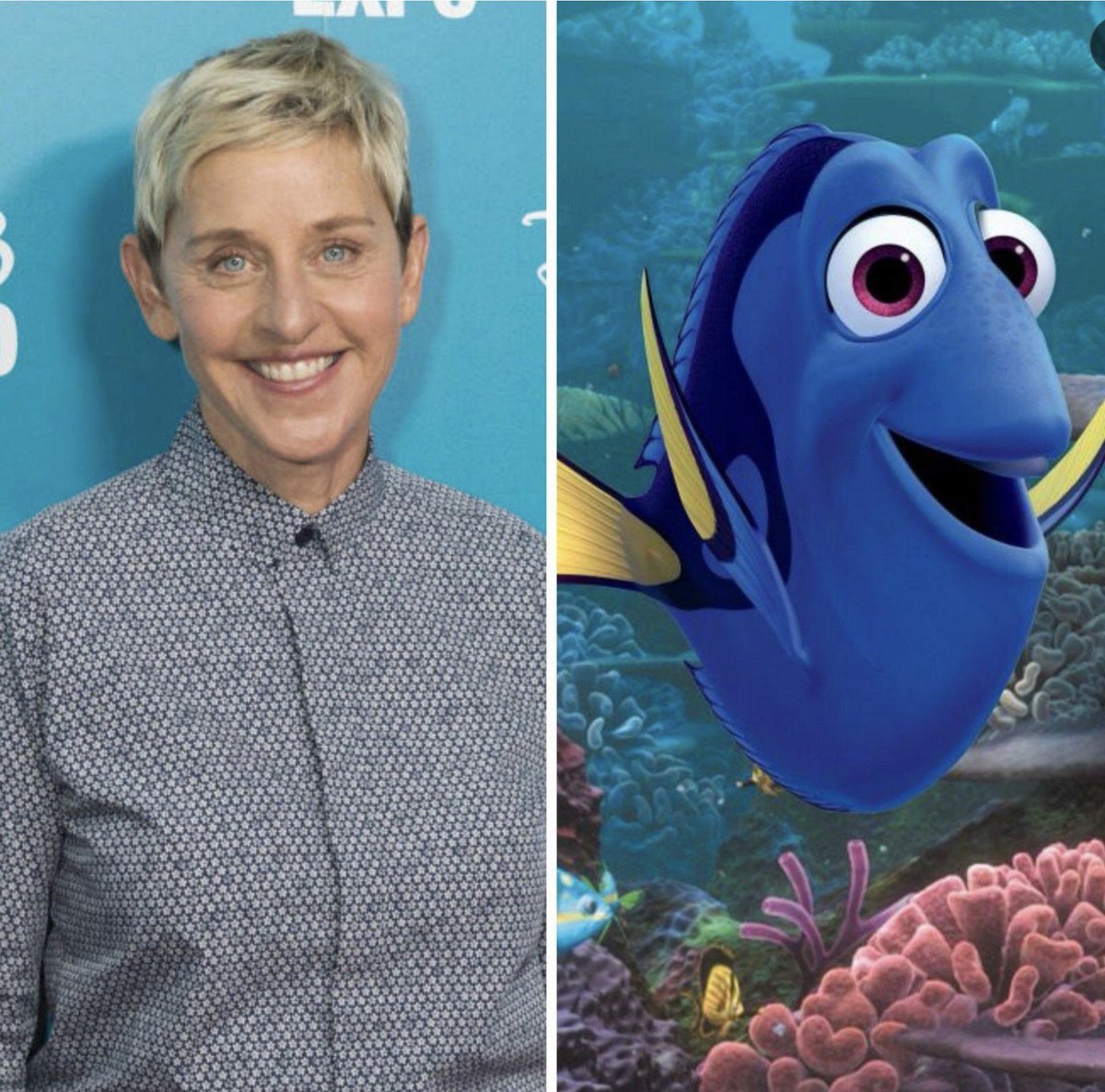 davidmarchie's tweet image. While I’m not holding a grudge against the #LGBTQ+ community, here’s to anniversary of Ellen DeGeneres (@TheEllenShow) a.k.a. Dory of being gay. 💛🏳️‍🌈💙 #EllenDeGeneres #FindingNemo #Ellen #FindingDoru
