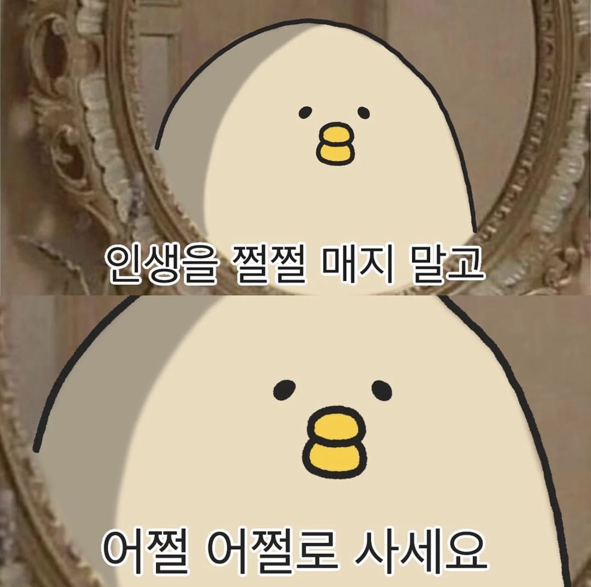 민디 tweet media