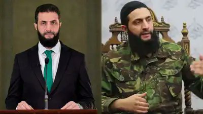 Siavash Safavi tweet media