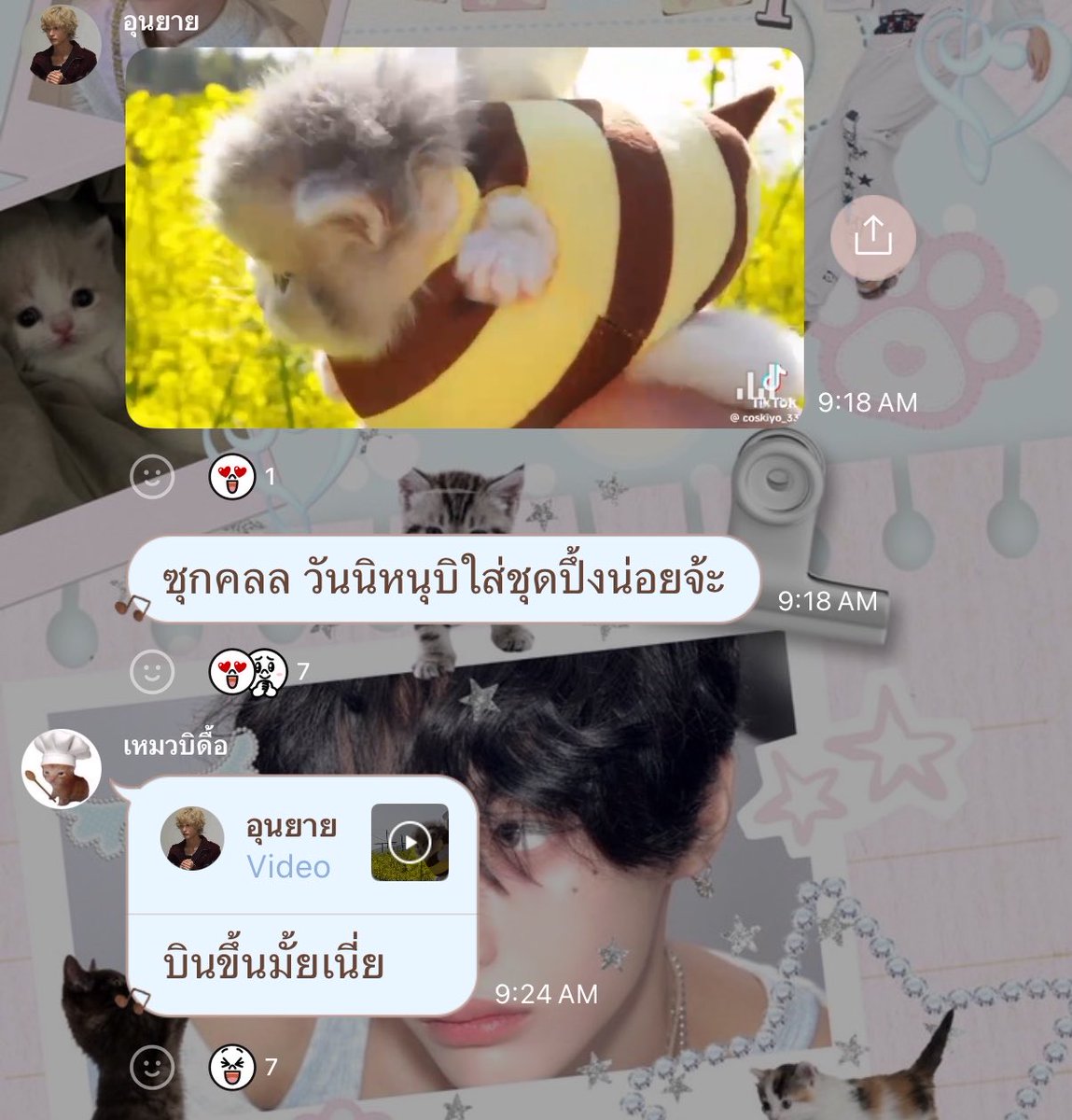 ⭑.ᐟ tweet media