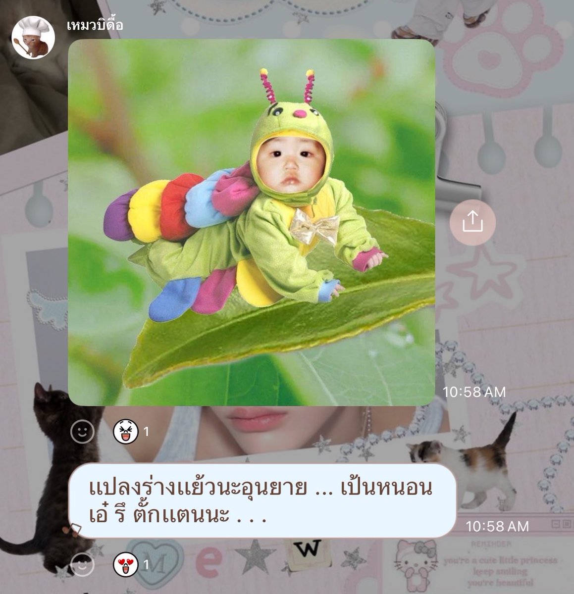 ⭑.ᐟ tweet media