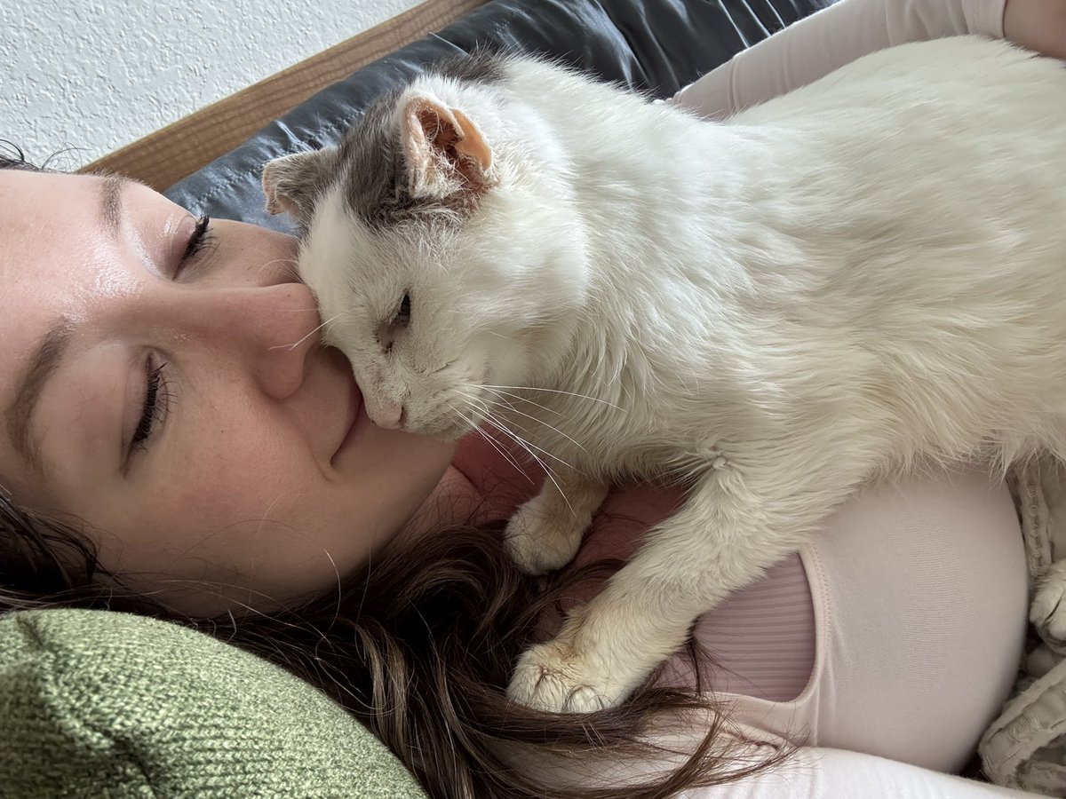 CornChowderCat's tweet photo. Wish he could rest his whole head on my face again, his nightly ritual https://t.co/YpfQlwU9SY
