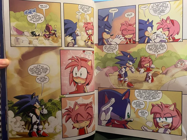 2006 Amy Rose tweet media