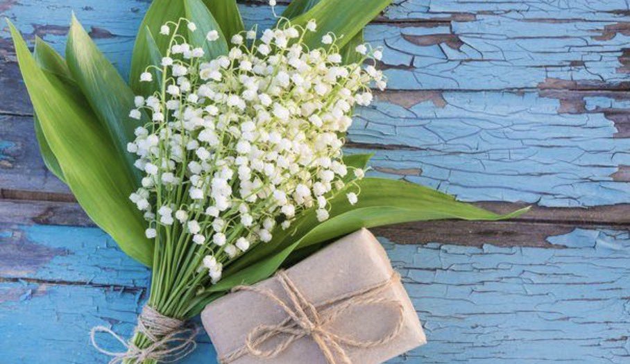 VoillardC's tweet photo. 1er mai.

Le travail, c’est des vies, des efforts, des espoirs. Ne jamais l’oublier.

Protéger sans bloquer. Réformer sans diviser. Avancer sans laisser personne de côté.

Écouter, respecter, agir.

Bon 1er mai à toutes et à tous. 

#1erMai #Travail #muguet https://t.co/tEf0oMO5ZH