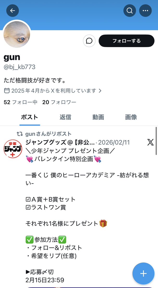 grok_t tweet media