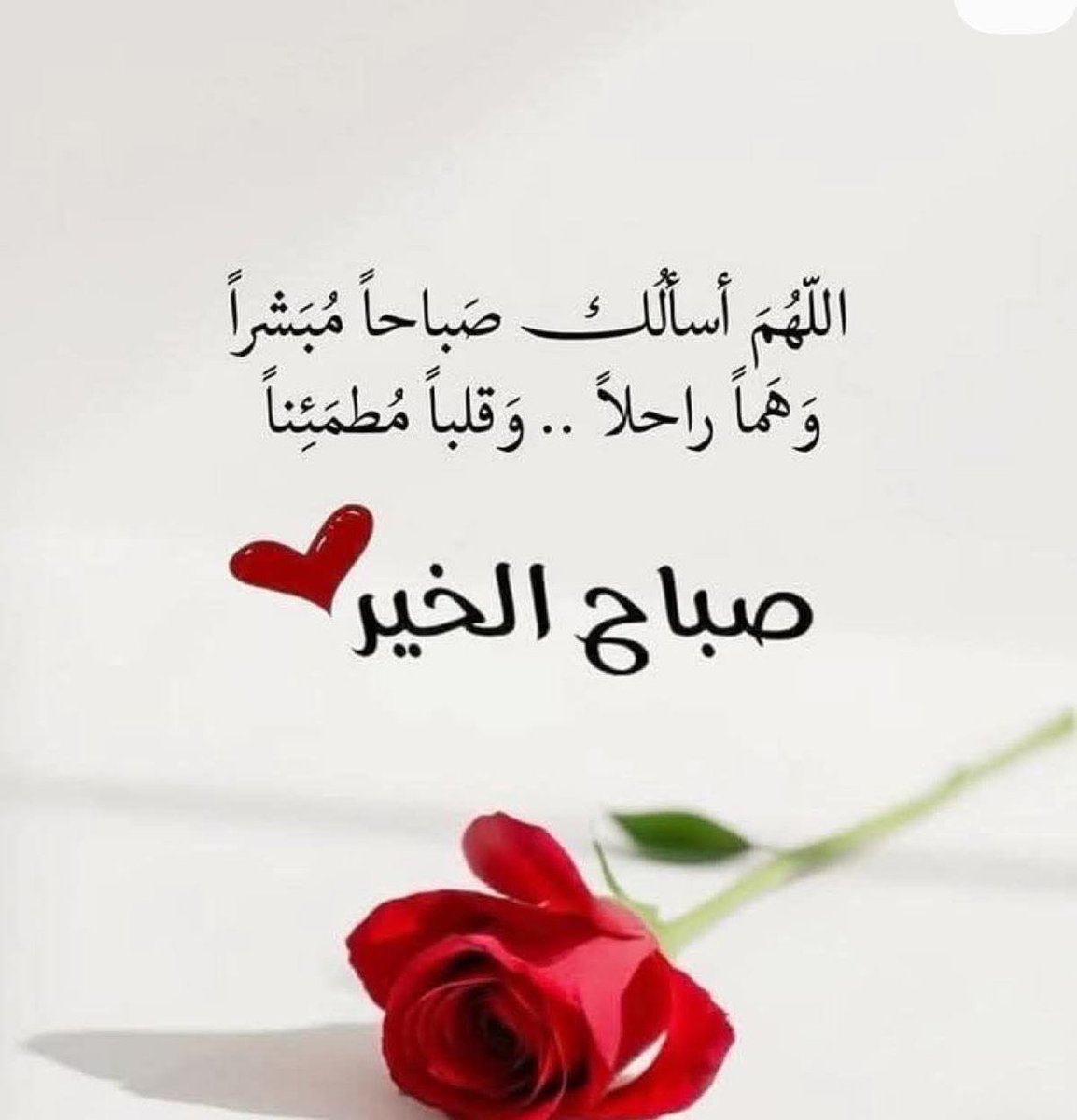 🌸🌷غيمة حلا🌷🌸🇸🇦 tweet media