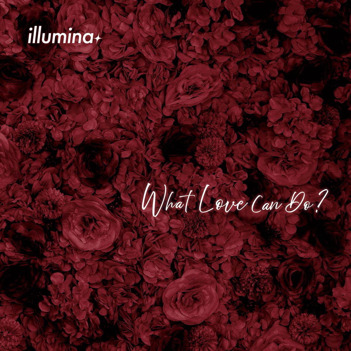illuminaニューアルバムタイトル

"What Love Can Do？"

聴いてくれるとと嬉しいな。

5月24日六本木rea divasでのライブで販売開始。
通販も行います。
