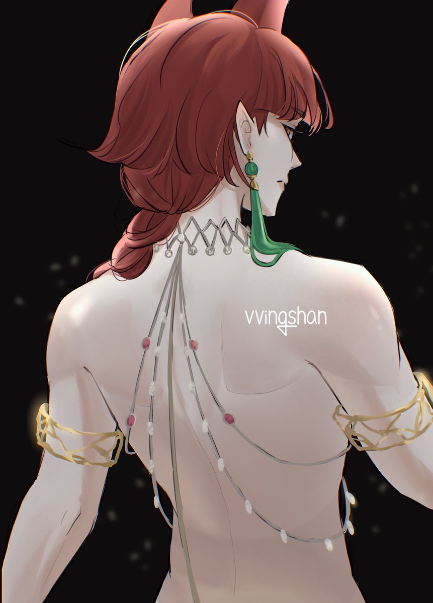 VVingshan tweet media