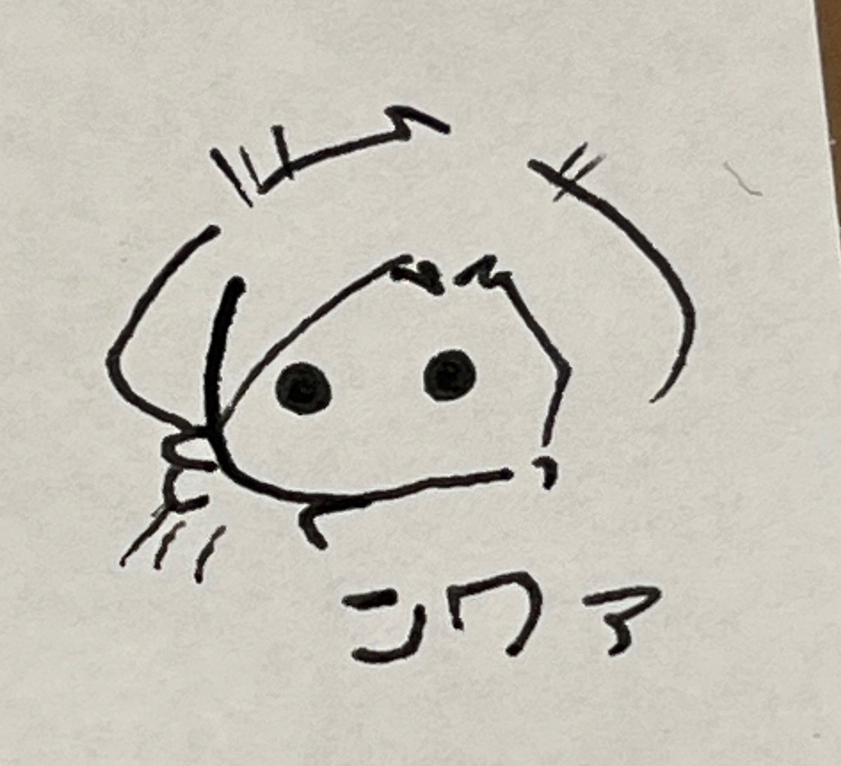 巣っさん tweet media