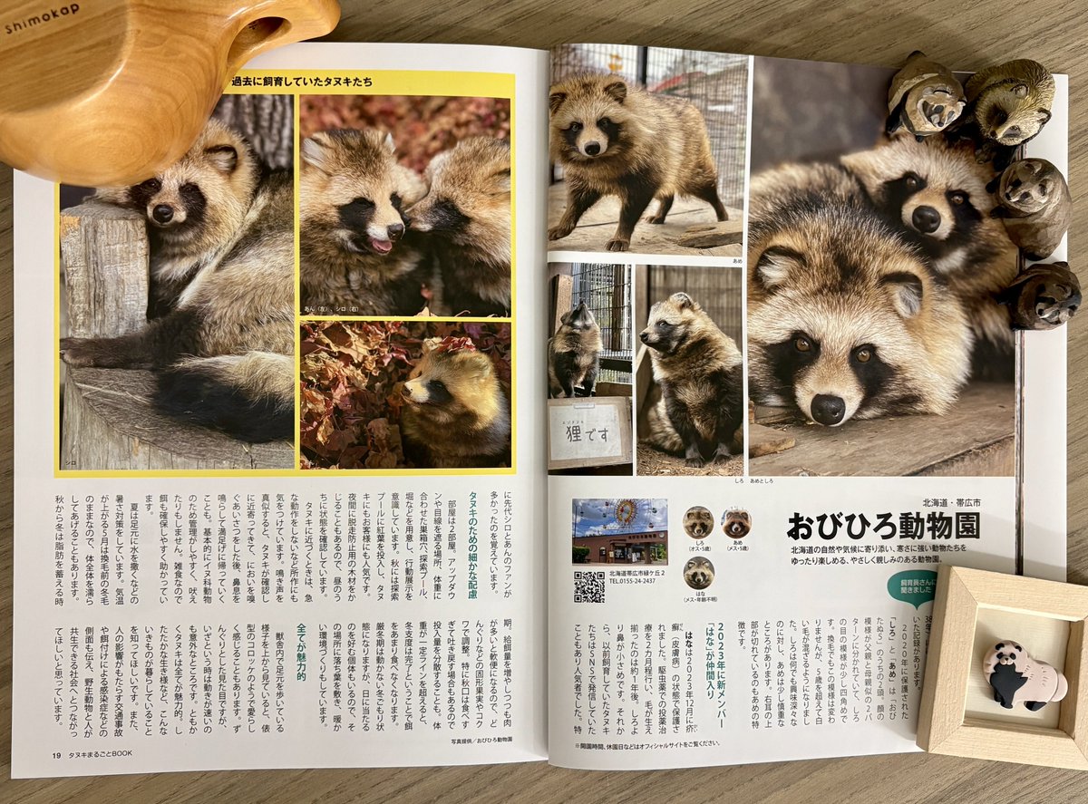 おびひろ動物園［公式］ tweet media