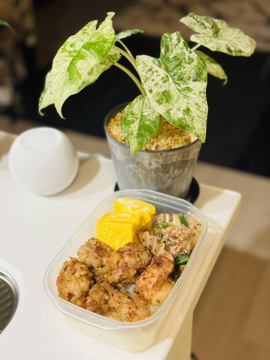 6連勤最終日✨
唐揚げ愛妻弁当が超美味しい😌🍱
いつもありがとう愛してる❣️