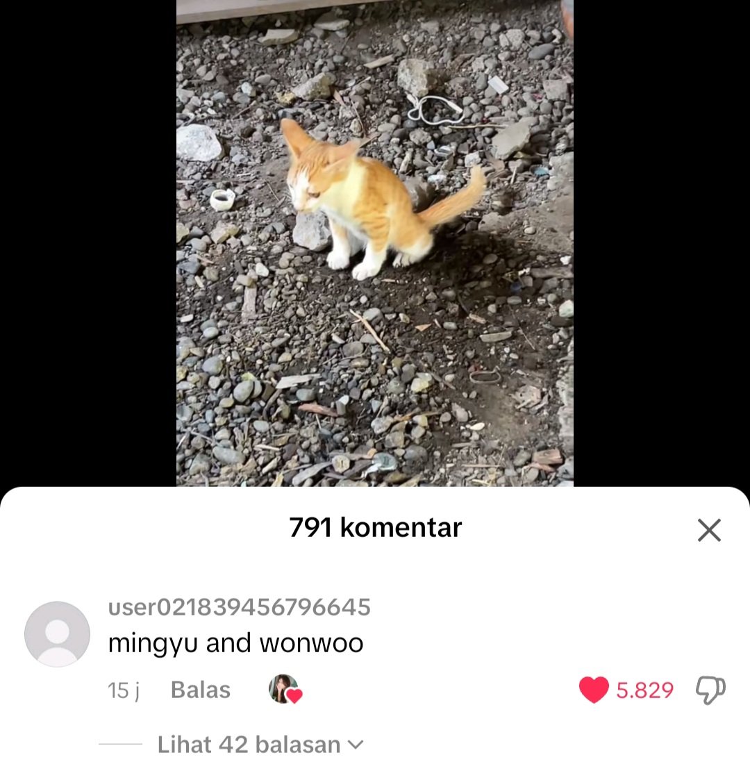 𝓝𝓪 tweet media