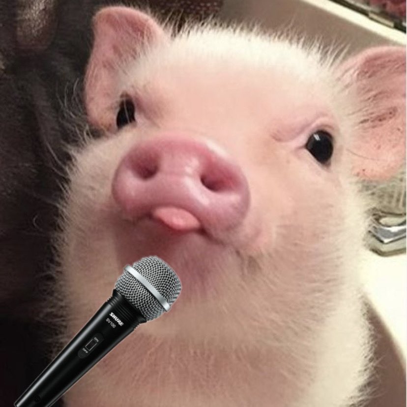 🦦๊ tweet media