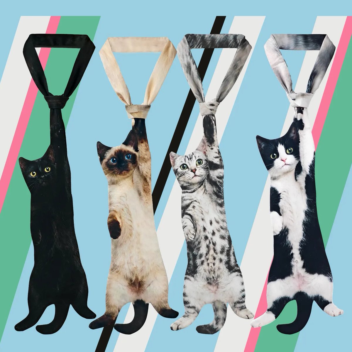 고양이 트윗 번역계猫ポスト翻訳垢🐱 tweet media