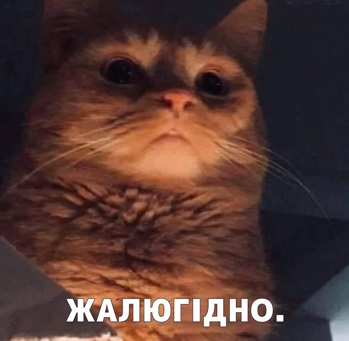 Pan Ruslan tweet media