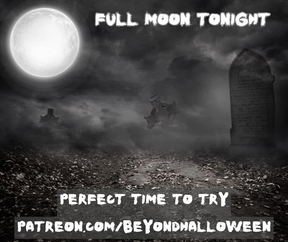 Beyond Halloween tweet media