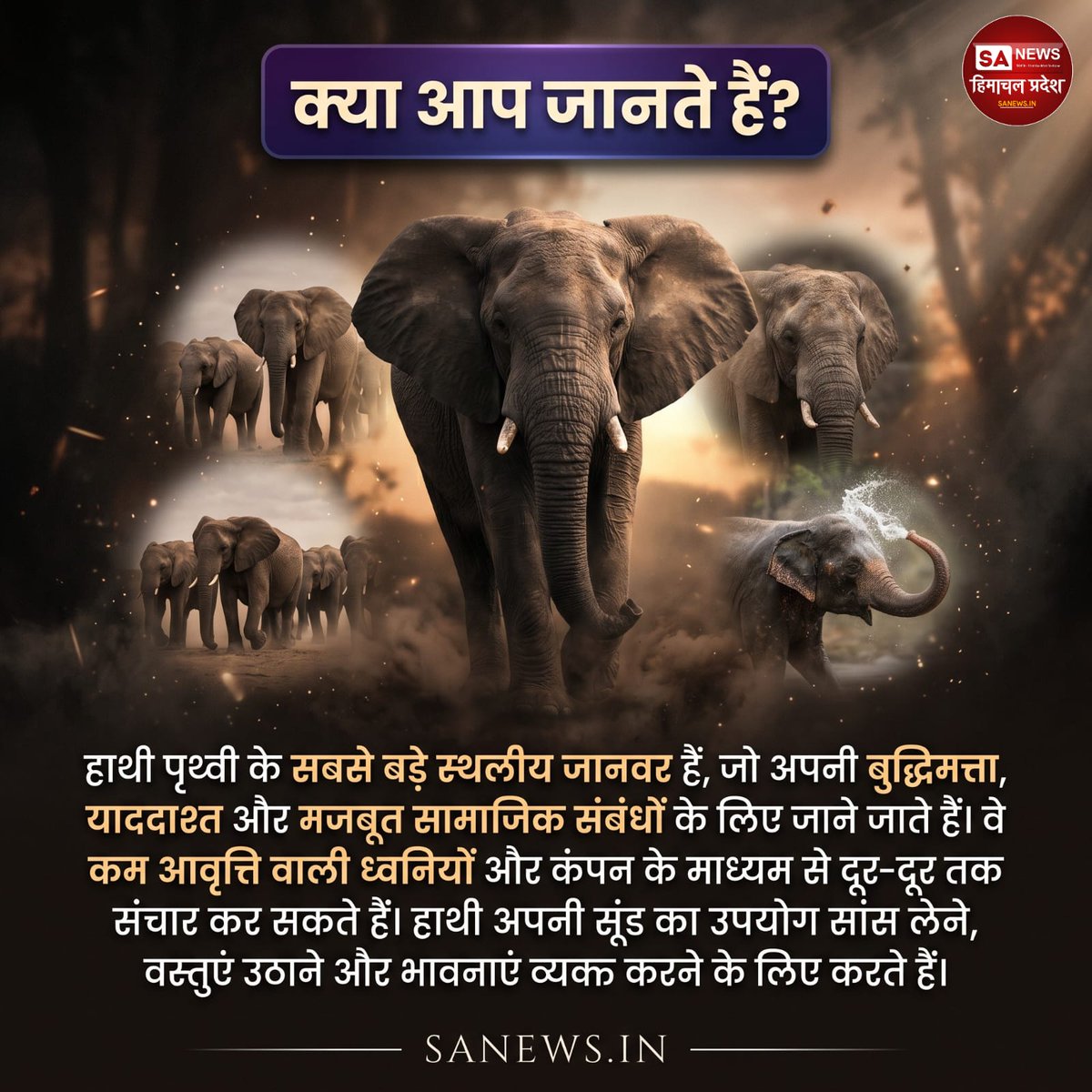 sanewshimachal's tweet image. क्या आप जानते हैं?
#DidYouKnow #elephantfacts #WildlifeFacts  #naturelovers  #animalfacts #savewildlife  #viralfacts