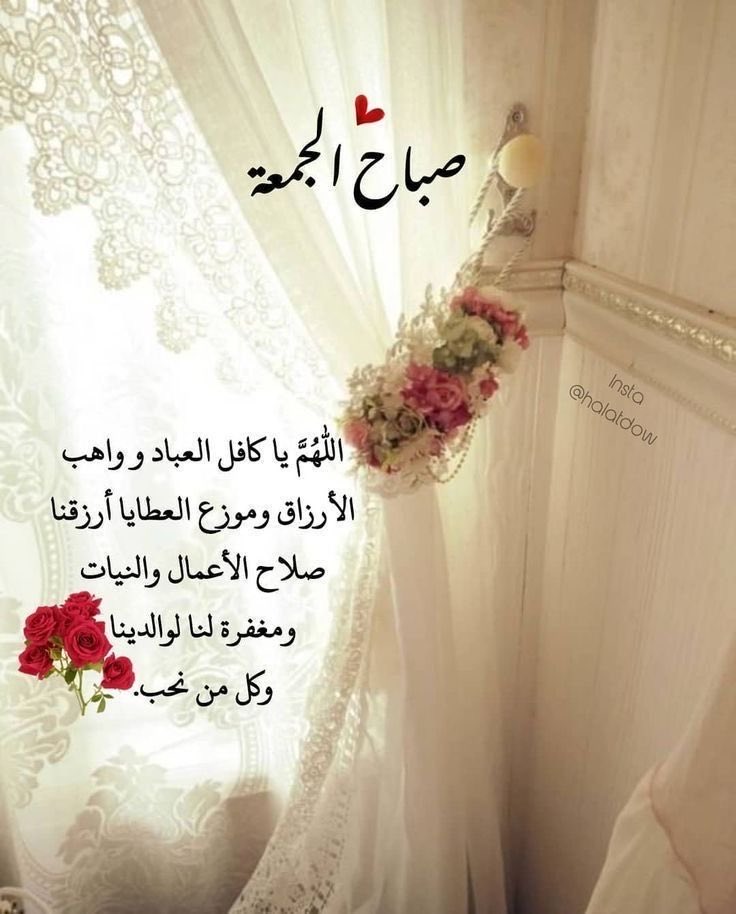نوره tweet media