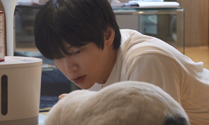 나혼산 스틸

안주야 아프지마ㅠㅠ