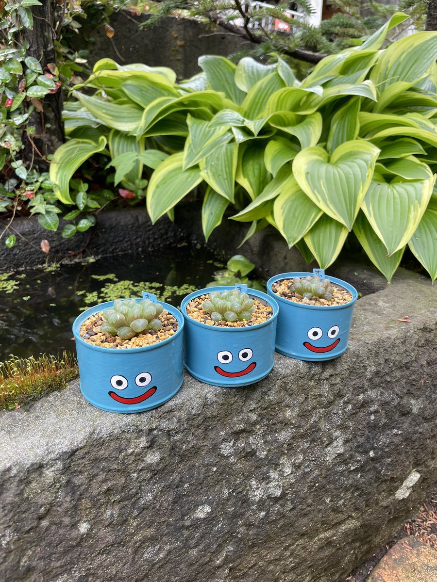 これが、こうなった！