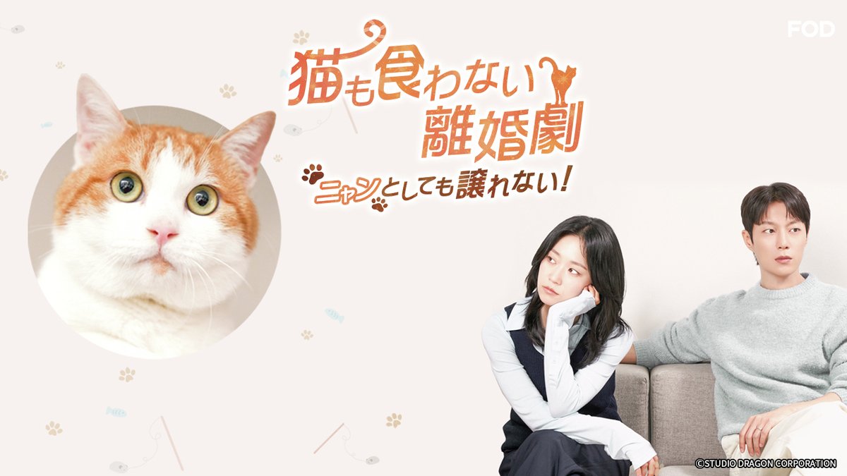 お知らせ／ 韓国ドラマ『#猫も食わない離婚劇 ～ニャンとしても譲れ 