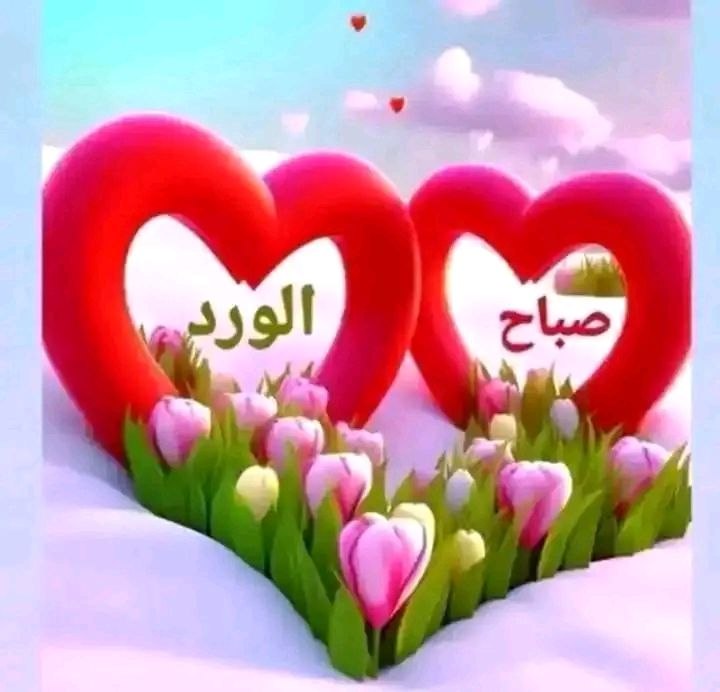 *للغائبين دائما بقايا لا ترحل، فلهم بالقلب حب وبالعين اشتياق، لهم بالروح حنين وبحروفنا اجمل المشاعر والكلمات، سيظلون رغم الغياب دائما كل الحضور ومهما ابتعدوا فهم منا دائماً قريبين، كيف ننساهم وهم بين النبض والوتين..🦋🫂🫀🕊️🌹.