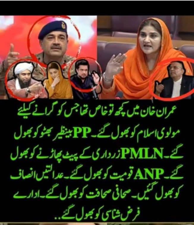 Rabbia Bibi tweet media