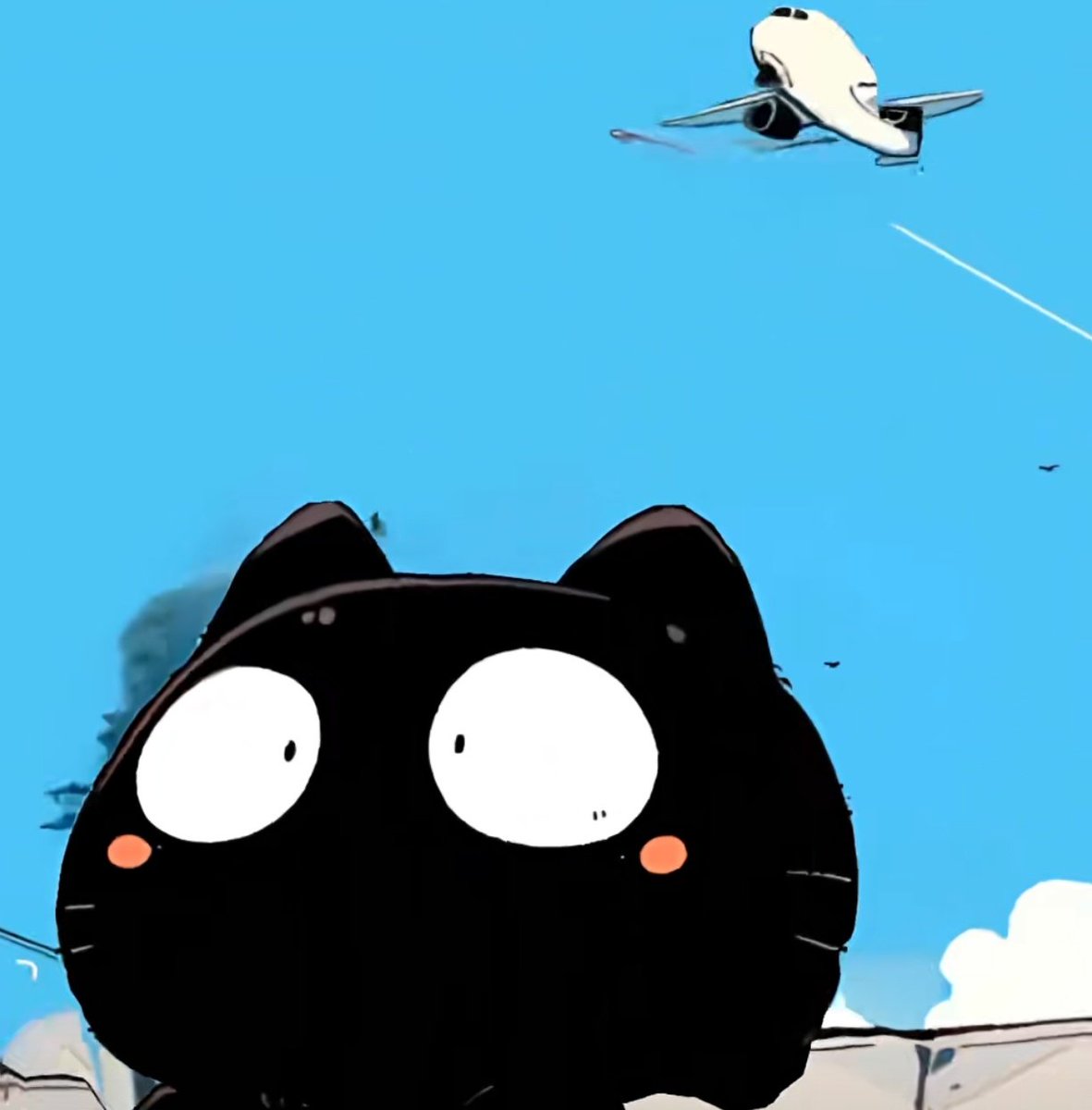 京圈tradio12北京暖猫 tweet media
