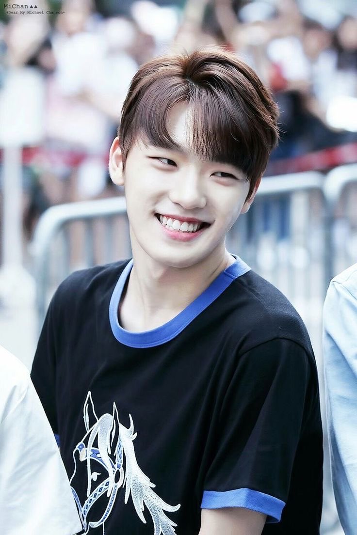 #DINO #디노