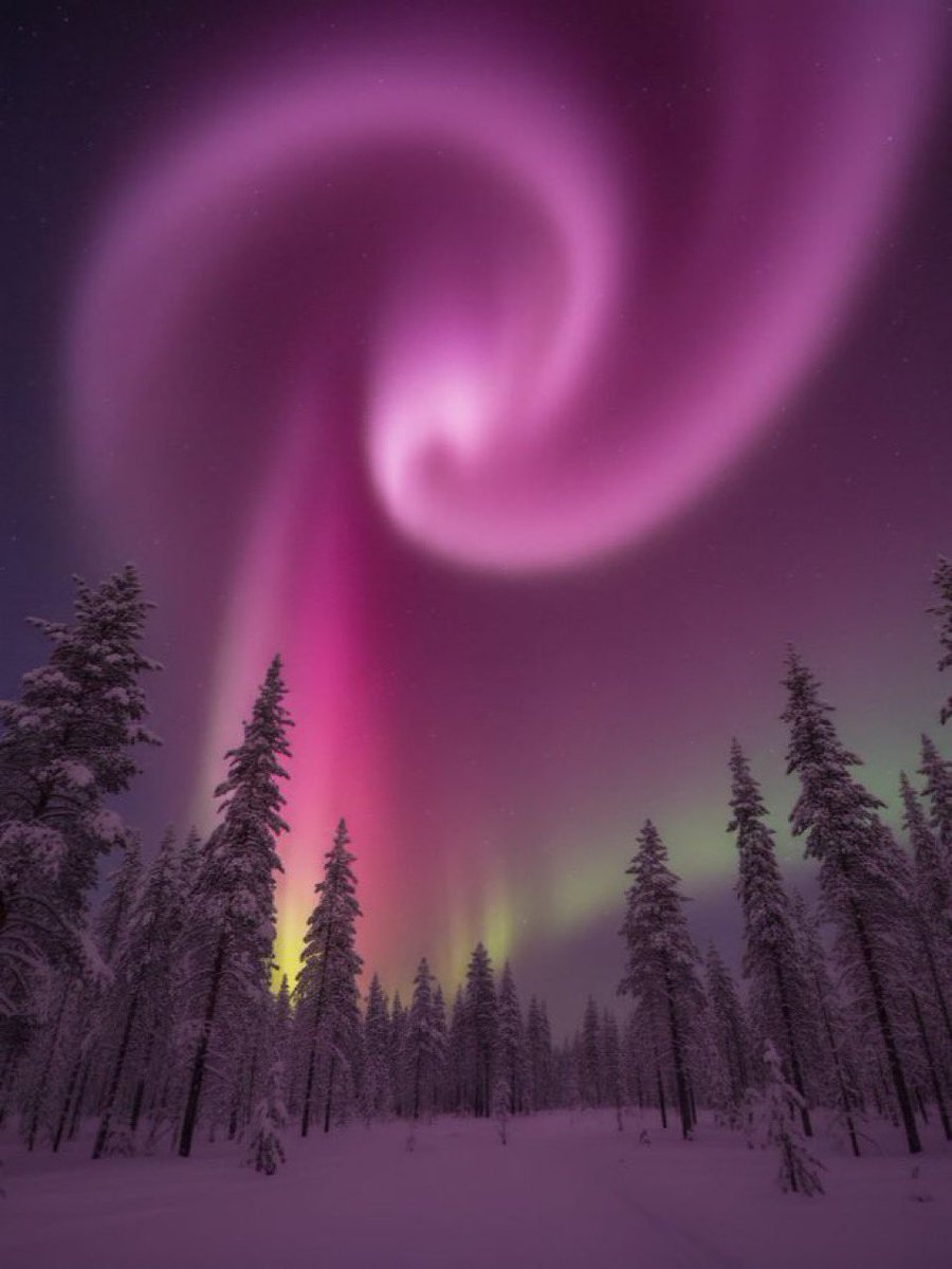purenature_1's tweet image. Aurora Borealis ❄️💜🩵 #NatureBeauty