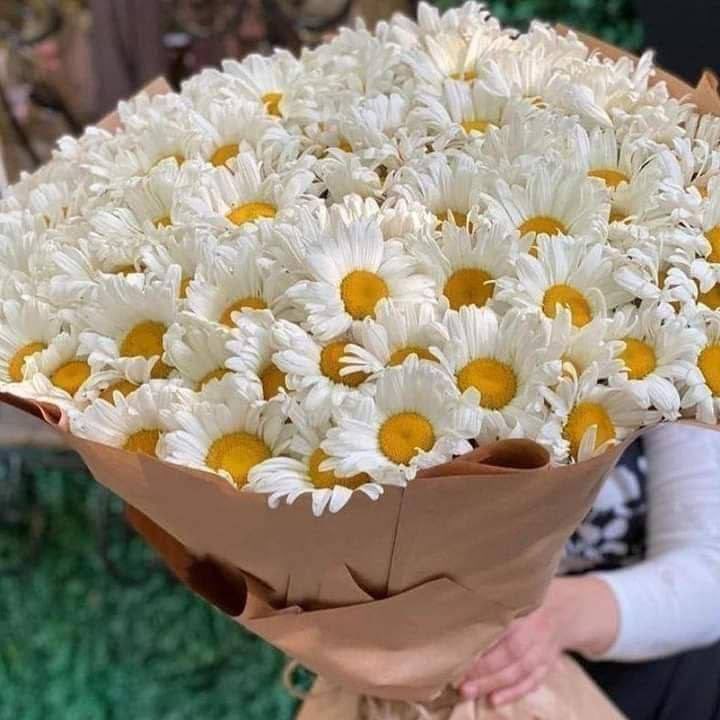 🌸 بنت العمده 🌸 tweet media