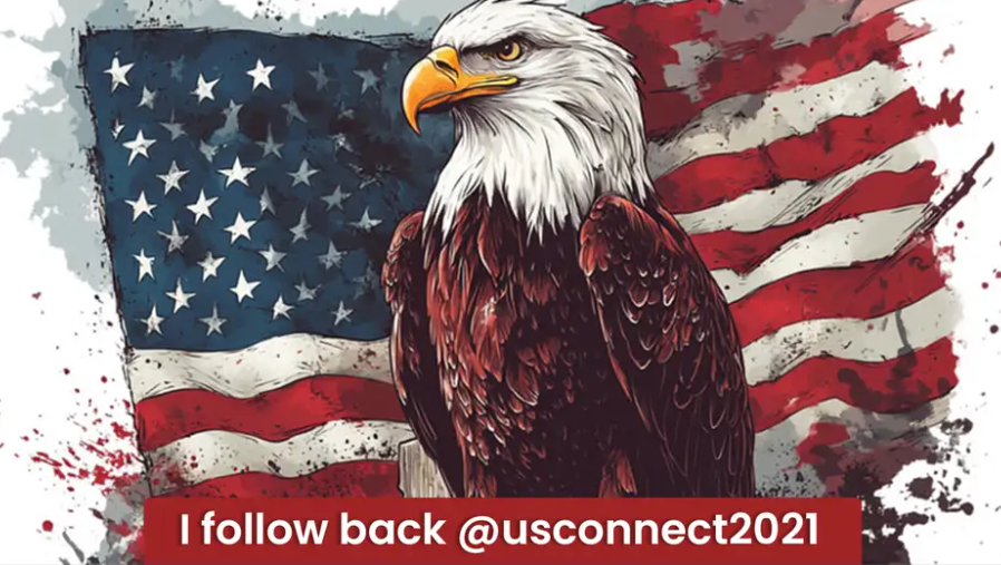 USConnect tweet media