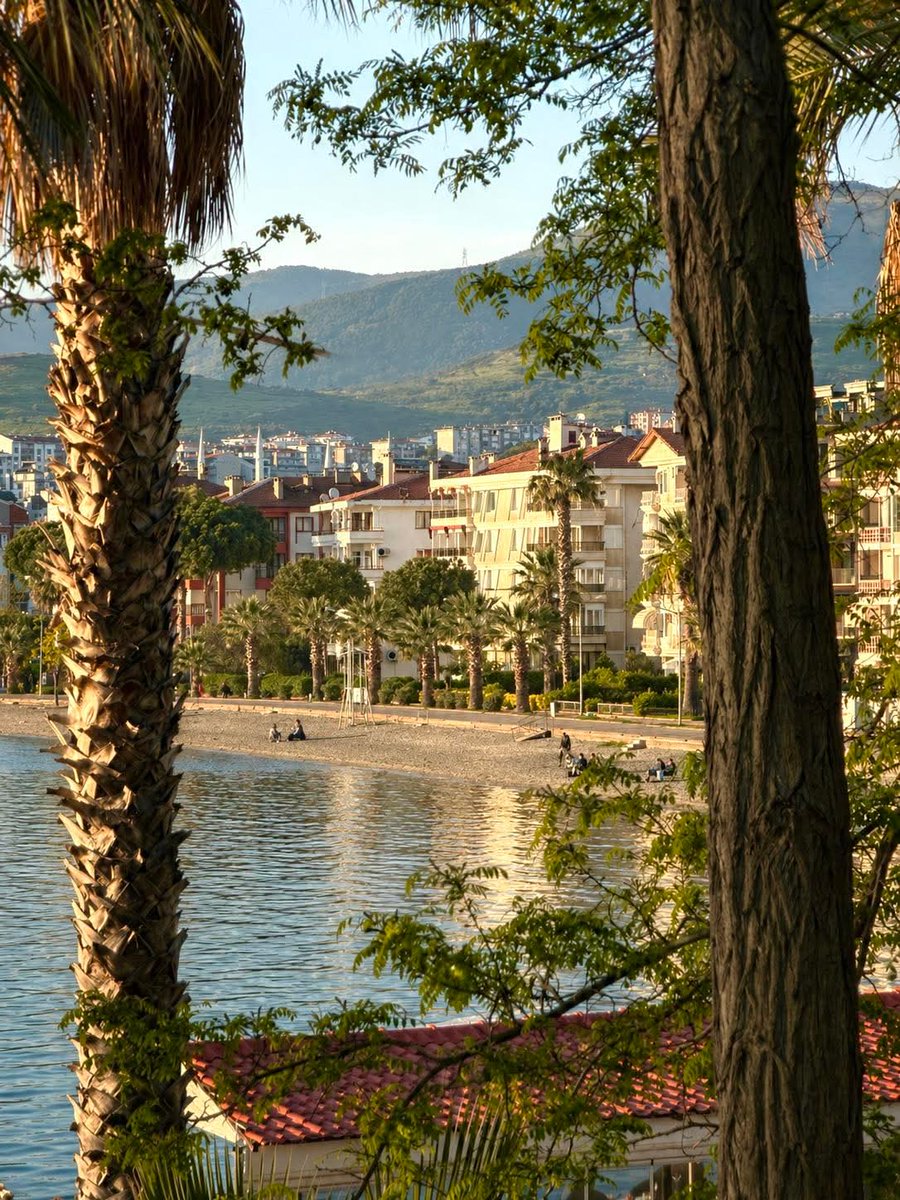 Cemre tweet media