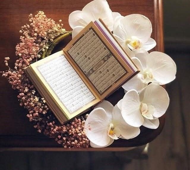 🪷ᵣᵢₘࢪيومه tweet media