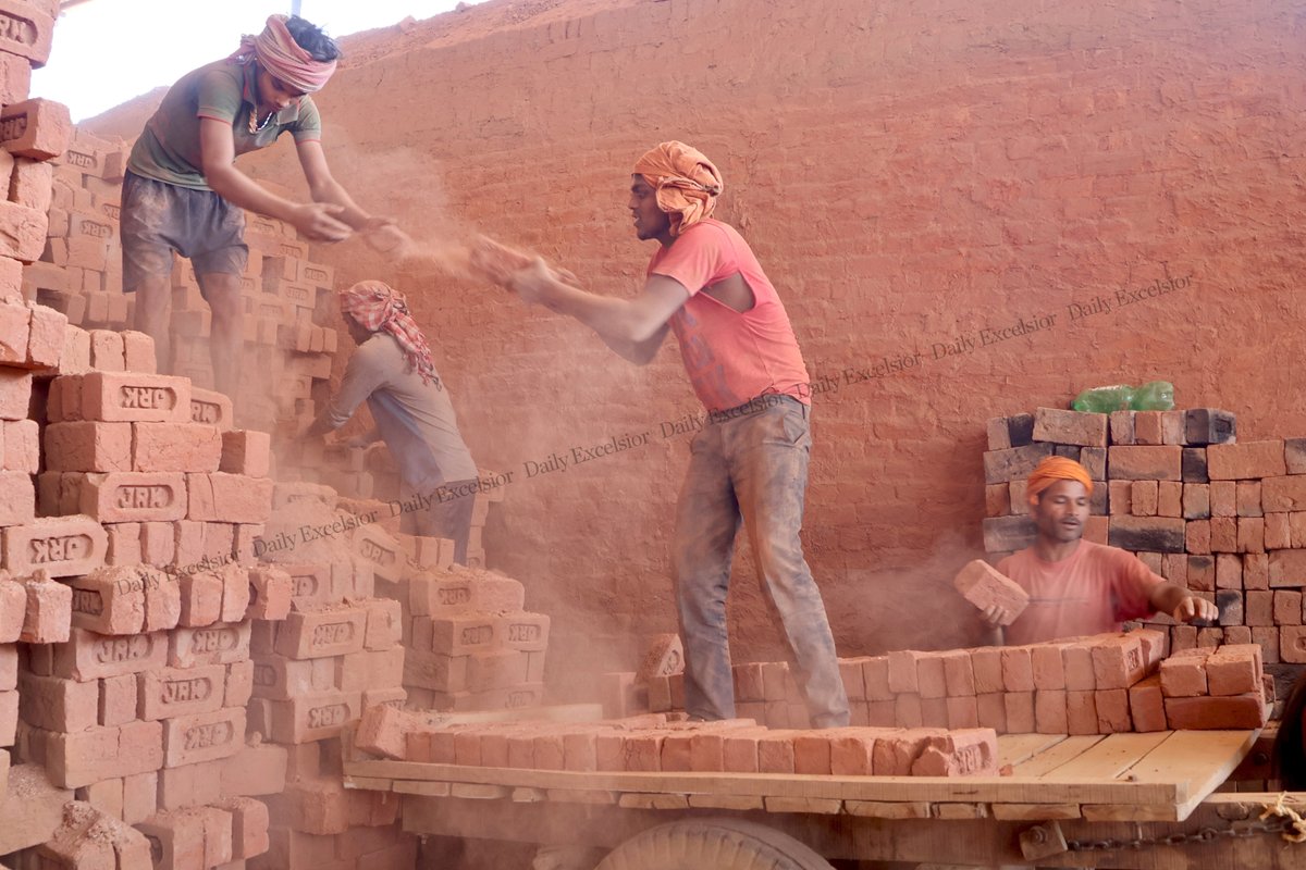 DailyExcelsior1's tweet image. InPics | Labourers load bricks onto horse carts and a wheelbarrow at a brick kiln in a village on the outskirts of Jammu, as International Labour Day, also known as May Day, is observed worldwide.

#Labourers #Bricks #Wheelbarrow #Jammu #InternationalLabourDay