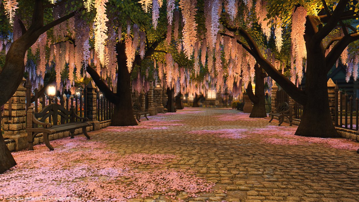 Zeromus_Tree's tweet photo. 夜 ライトアップ
#ゼロムス並木道 #FF14 https://t.co/Fk2W7FCCAn