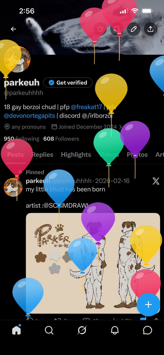 parkeuh tweet media