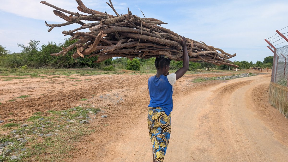 wisewomen256's tweet photo. This Labour Day, WISE honours women whose unpaid care work sustains families, communities and Uganda’s economy. As Uganda focuses on decent work and empowering the workforce, care work must also be seen, valued and supported.

#LabourDay #UnpaidCareWork #WISEUganda https://t.co/JObi2X4iyz