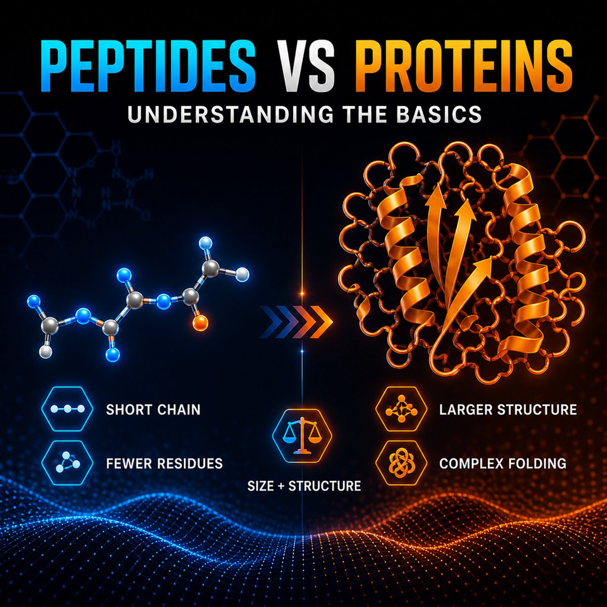 NTPeptides's tweet photo. 🔹Peptides and proteins are both amino acid chains, but they differ in size, folding, and structural complexity.

Peptides are usually shorter and simpler. Proteins are larger, folded biomolecules studied for diverse cellular mechanisms.

🔗 Read more:
 https://t.co/fBSqd5z4lh https://t.co/8As8SIdxHW