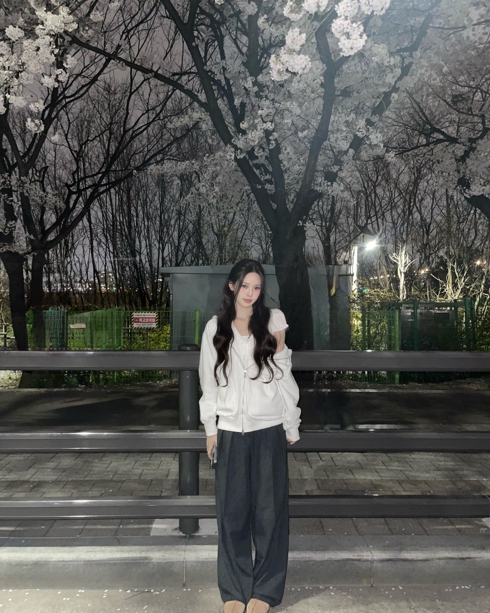 jeemacni's tweet photo. night air + soft petals
i think spring likes me a little too much 🌸
kept smiling for no reason the whole walk. https://t.co/FtHD3Bbsve