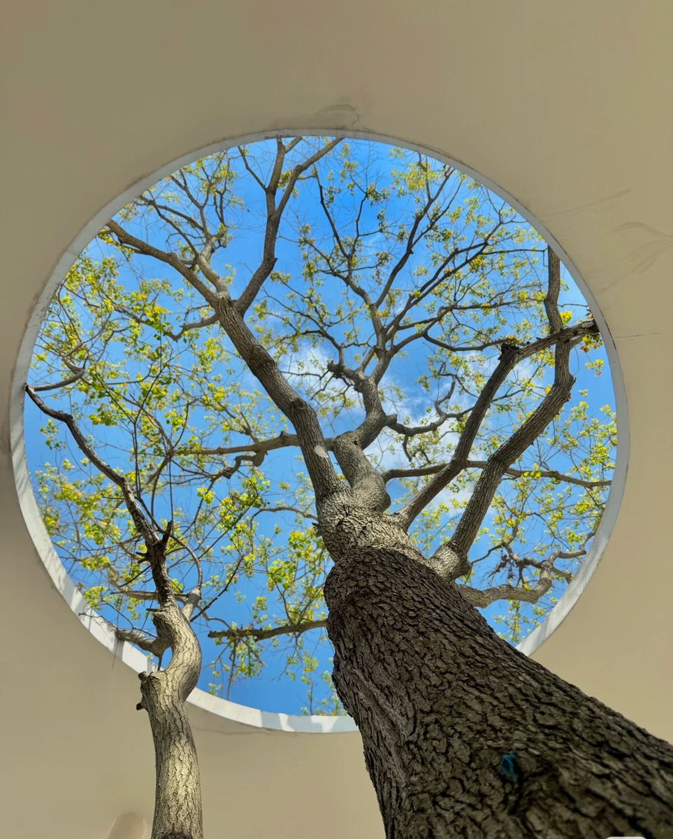 Booklicious5's tweet image. Walking your own Path 
Gives 
Happiness 🥰💚🌿☘️🌱🌳

#HelloMay
#treepeople