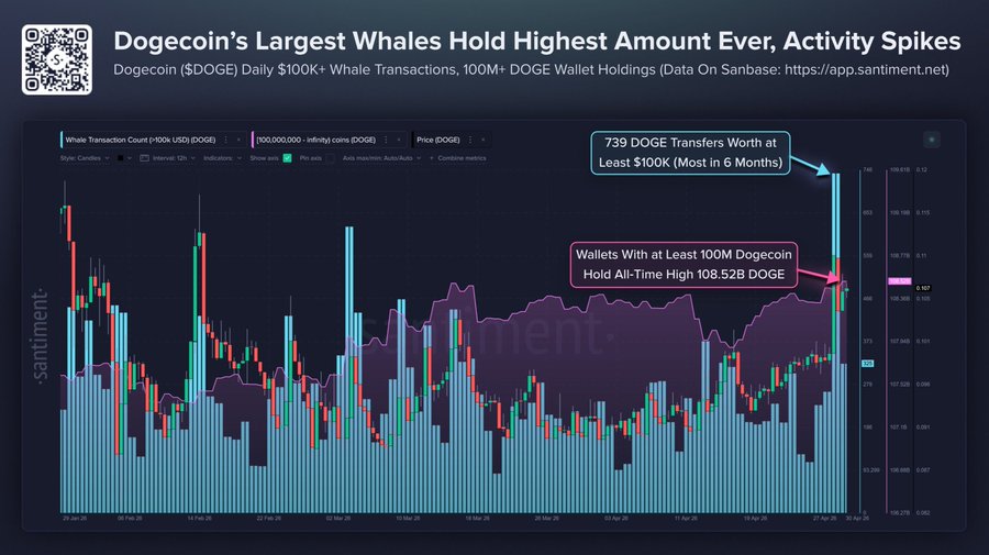 Coinpedia Markets tweet media