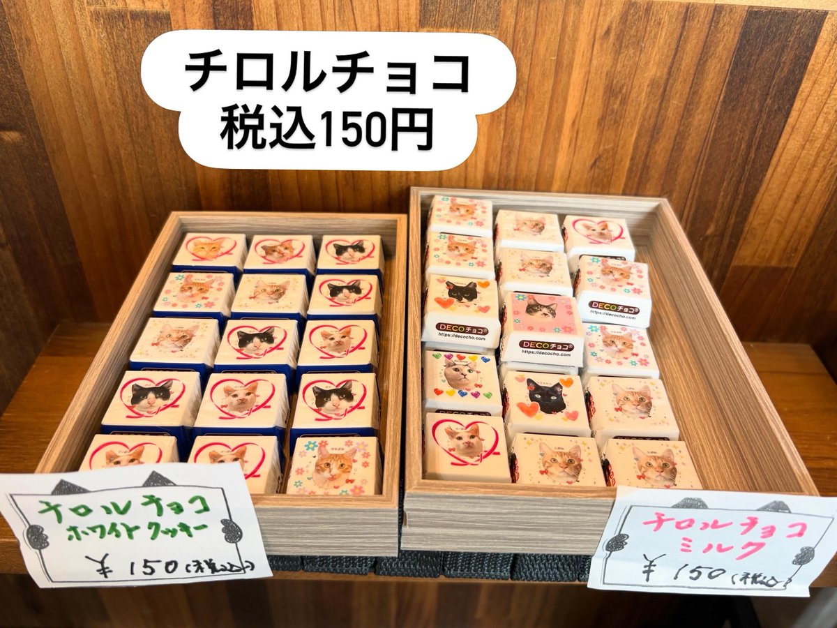 保護猫カフェ 猫の館ME◎人スタッフ tweet media
