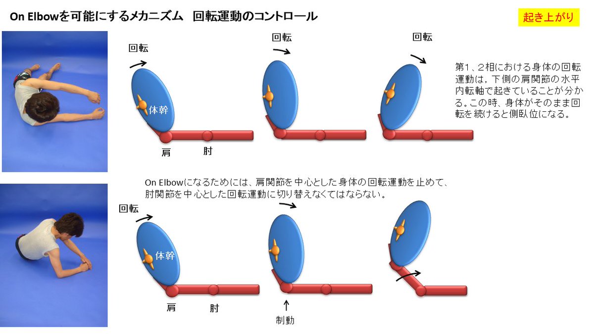 リハノメ|PT・OT・STのための配信動画サービス tweet media
