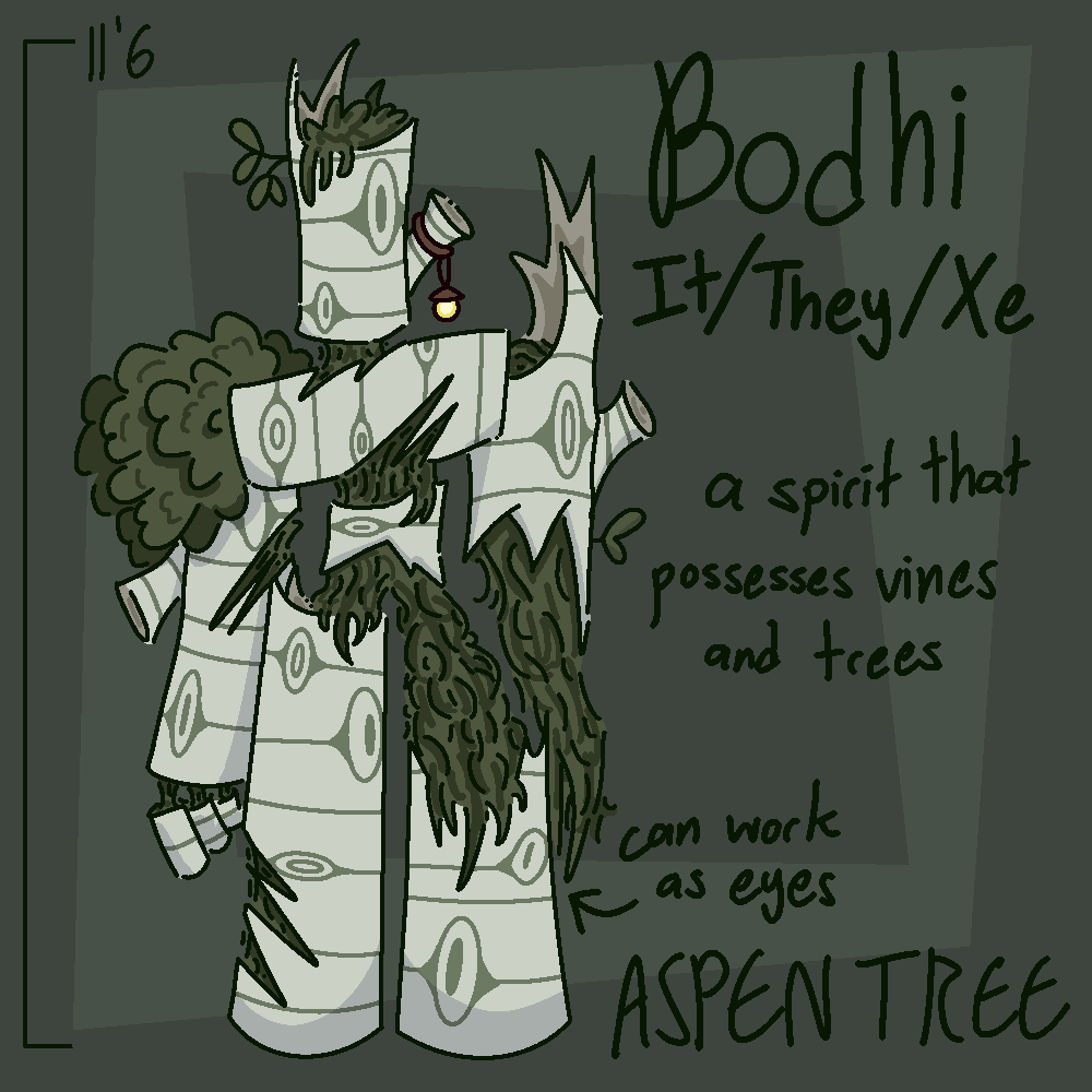 AspenTree🌲 tweet media